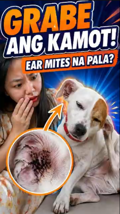 Video thumbnail 3